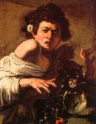 Caravaggio Youth Bitten by a Green Lizard USA oil painting artist