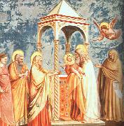 Giotto Scenes from the Life of the Virgin painting