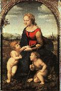 Raphael The Virgin and Child with John the Baptist oil painting artist