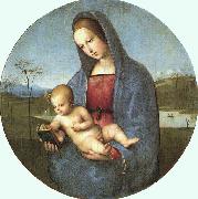 Conestabile Madonna, Raphael