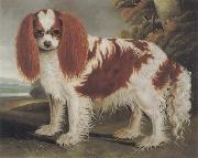 J.L.Clark King Charles Spaniel II oil painting picture wholesale