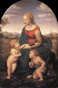 Raphael The Virgin and Child with the infant Saint John the Baptist USA oil painting artist