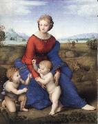 Raphael The Madonna in the Meadow oil painting reproduction