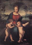 Raphael The Madonna of the Goldfinch USA oil painting artist