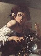 Boy Bitten by a Lizard, Caravaggio