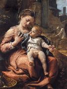 Correggio The Madonna of the Basket USA oil painting artist