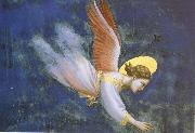 Detail of Joachim-s Dream, Giotto