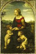 virgin and child wild st., Raphael
