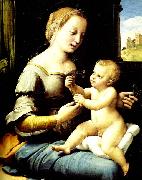 Raphael madonna of the pinks USA oil painting artist