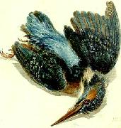 J.M.W.Turner kingfisher USA oil painting artist