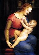 Madonna d'Orleans, Raphael