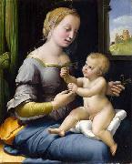 Madonna dei garofani, Raphael