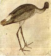 PISANELLO Stork oil painting reproduction