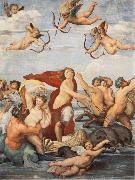 Raphael Triumph of Galatea oil