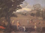 Poussin Summer or Ruth and Boas (mk05) USA oil painting artist