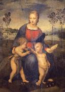 Madonna of the Goldfinch, Raphael