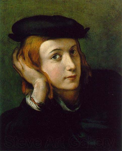 Correggio Portrait of a Young Man,