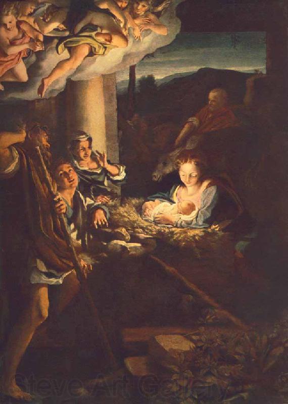 Correggio Nativity