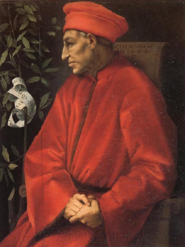 Pontormo Portrait of Cosimo il Vecchio