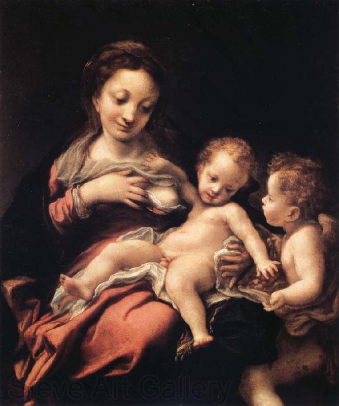 Correggio Madonna del Latte